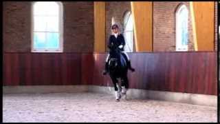 CDI3* de Ornago : Morgan Barbançon Mestre débute une nouvelle monture en international