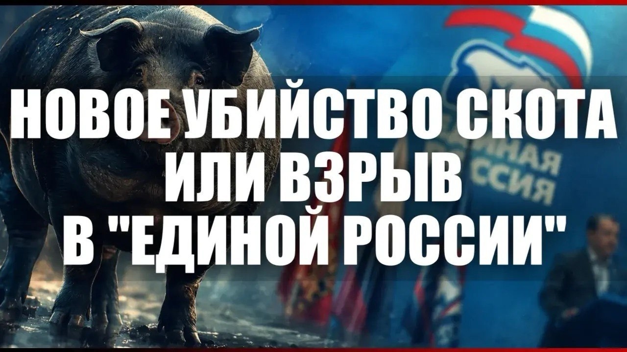 Новое убийство скота или взрыв в "Единой России"