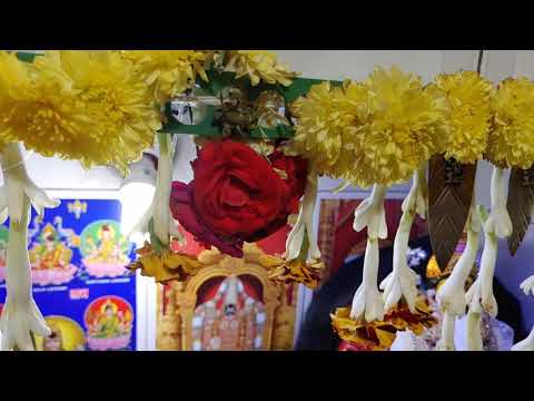 NAVARATRI SPECIAL. SHOT ON LG G8X THINQ.