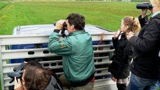 preview picture of video 'Vogel excursie - Nationale Vogelweek - Weidevogels / Maasland 2012'