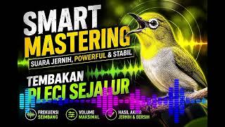 Download lagu 🔥 SMART MASTERING & TEMBAKAN PLECI SEJALUR | Audio Super Jernih, Bikin Pleci Cepat Gacor mp3