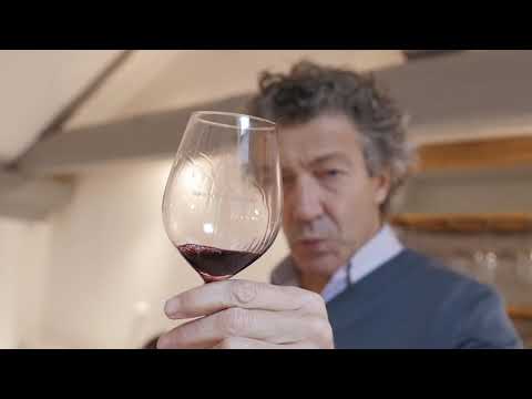 SommTV Gérard Bertrand épisode