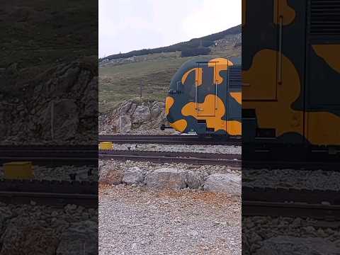 Salamanderbahn am Schneeberg