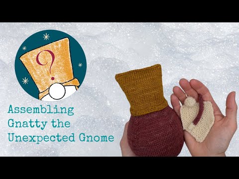 Assembling Gnatty the Unexpected Gnome