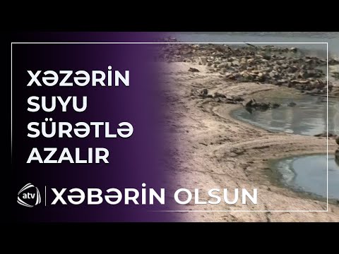 Xəzərin suyunun azalması ekosistemə ziyan vurur