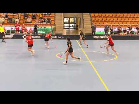 Highlights Finalen i FCH Påskcup F07-08 Åstorp/Kvidinge IBS - Alvesta 3-0