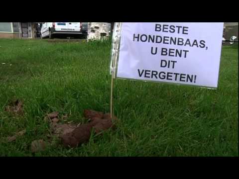 Concurreren Succes zondaar Hondenpoep - Onderwerpen - PublicSpaceInfo.nl
