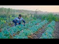 Indian Farm Cooking Video Indian Village Cooking Lunch Preparation