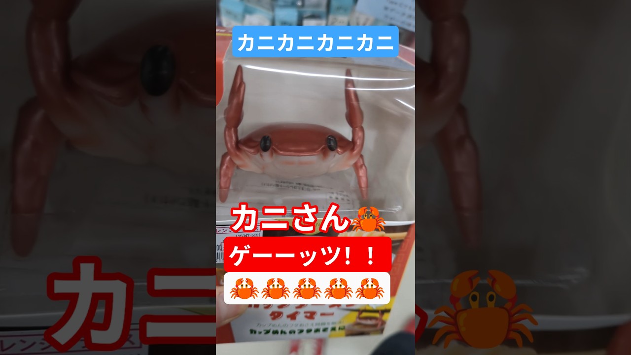 🦀カニかに？🦀