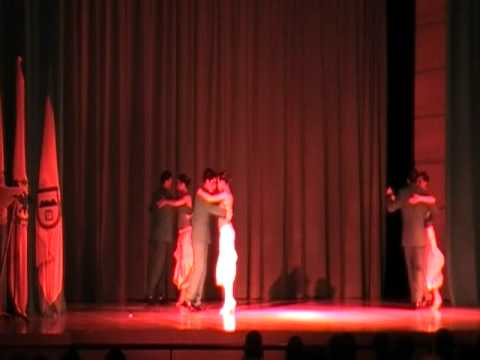 TANGOLARIA 2011 Zorro gris