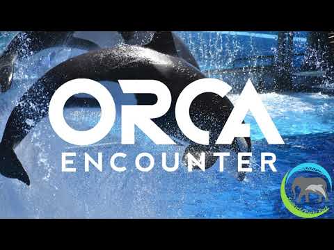 One Song - Orca Encounter Soundtrack SeaWorld