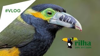 Já viu as fotos maravilhosas que saem da TT-Trilha dos Tucanos? ASSISTA O VÍDEO E ENTENDA O PORQUE!
