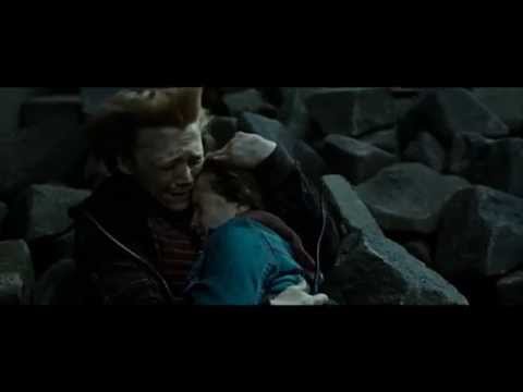 Rony e Hermione - A história do casal!