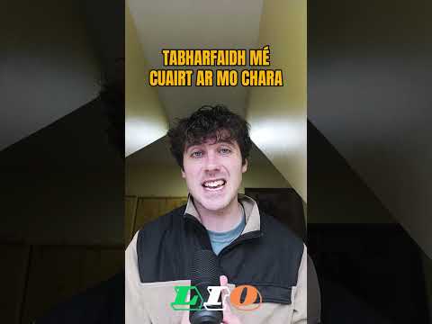 BRIATHRA // VERBS 🗣️   #gaeilge #learnirish