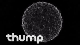 Maya Jane Coles X GAPS "In Dark, In Day" (Official Video)