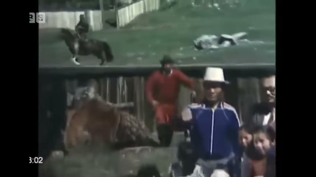 Илүү сартай зун МУСК (Монгол киноны сэтгэлд хоногшсон хэсгүүдээс)