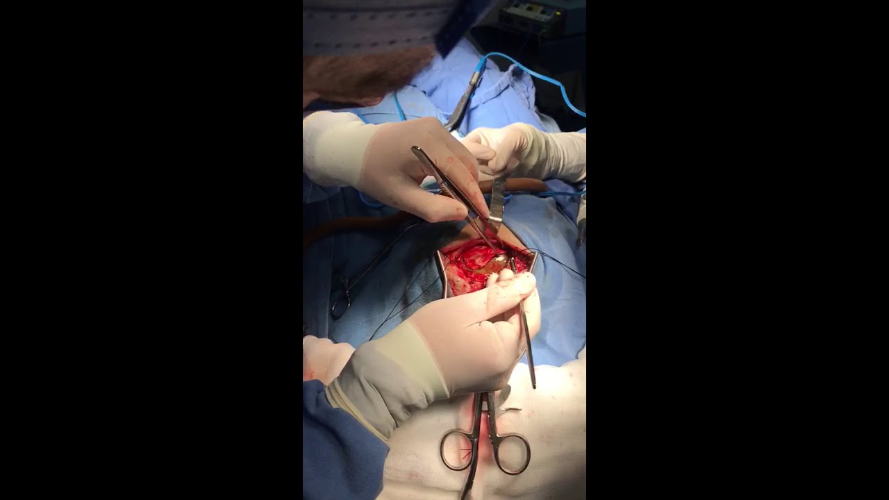 Rafael Maciel Morfin-71