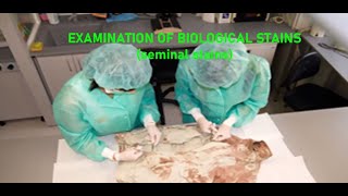 Staining Techniques | Semen | Seminal Stains | Forensic Medicine  | Ample Medical Lectures