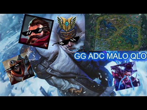 UN SWAIN ANDANTE POR LA GRIETA( MI ADC YORA),FLEX CON MACACOS#2