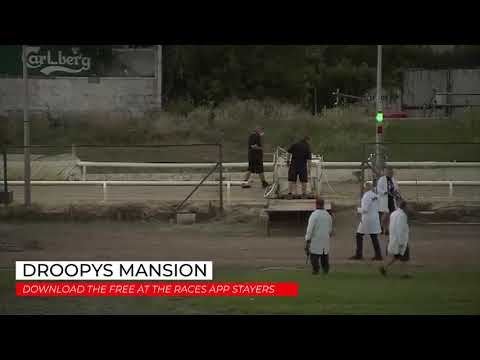 Droopys Mansion - Download the Free At The Races App Stayers
