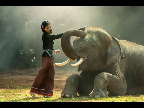 6th Commandment  - Thou Shalt not Murder - Exploring the 10 Commandments - Brian Moodie