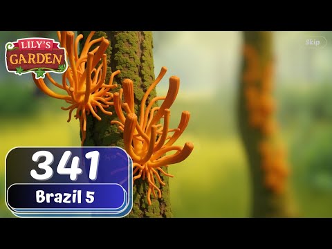 Lily's Garden - Day 341 - Brazil 5 - Gameplay