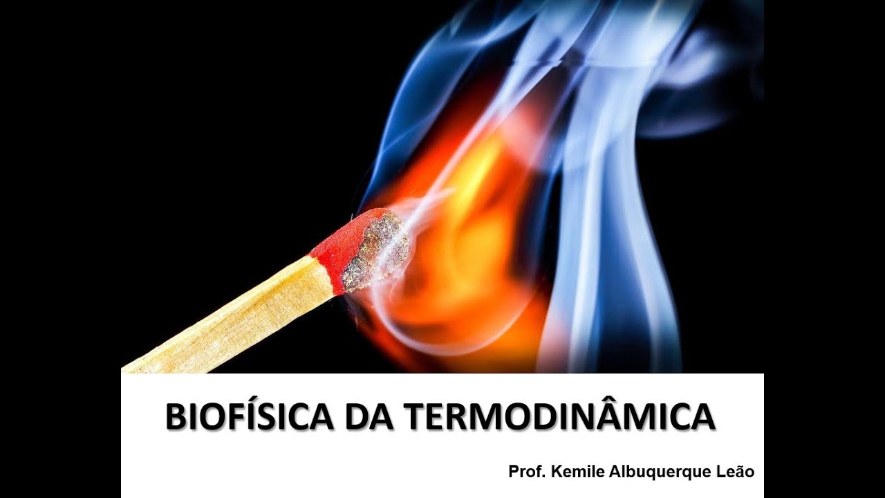Biofísica da Termodinâmica
