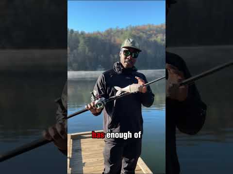 Best Swimbait rod for the money 💰