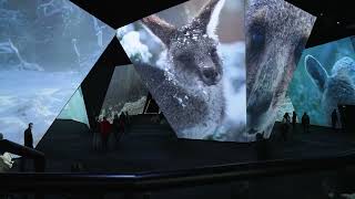 Download lagu BBC Earth Experience – Opens This Week! mp3