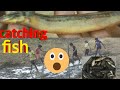 Village Boys Catching Fish In The Mud Fish Catching Vlog