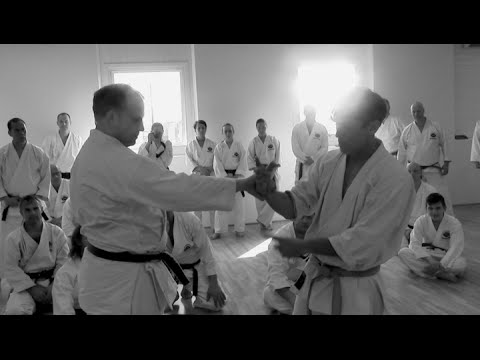 Gislaved Sweden, bujinkai dojo - rick hotton sensei