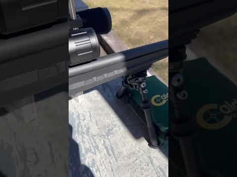 Savage Arms Axis II XP Review - Watch Before You Buy