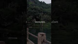 Download lagu lamunan - wahyu f giri mp3