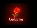 Phool Hai Gulab Ka New Black Screen Status Attitude Shayari Status Shayari