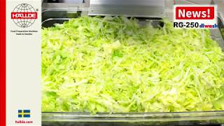 Lettuce: Slicer 10 mm