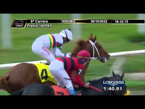 221030 c08 TODO GENIO