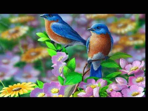SOOTHING RELAXATION MUSIC WITH BIRDS SINGING: BEST CHINESE INSTRUMENTAL SOUND