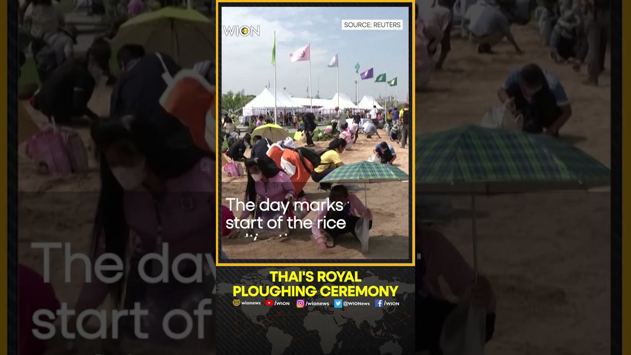 YouTube Short thumbnail