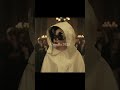 Cruella 2021 Best Movie Clip Scense