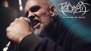 No Blade of Grass - Psycroptic