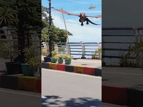 naga #pengantin #wedding #dosa #misteri #rumah #memes #funny #penampakan #fypage #shorts #shorts