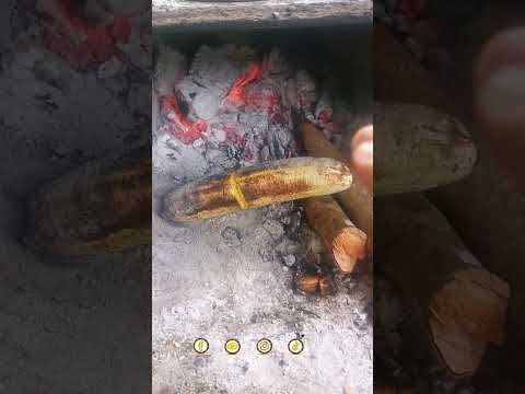Plátano asado en fogón de leña | Tradición desde La Palma, #cundinamarca  🍌🔥