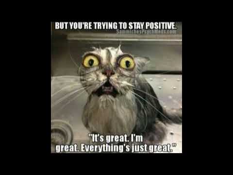 psythoness - prod money