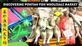 Overpriced Seafood Target Singaporean Pontian Fishing Town Fish Wholesale Market Johor 马来西亚柔佛笨珍鱼批发市场