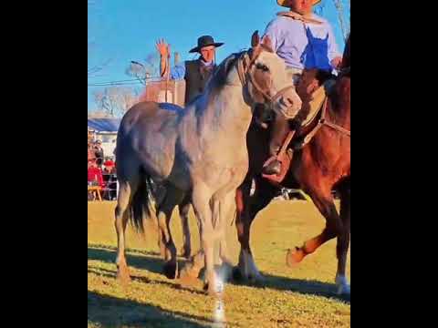 Coronel, Ezequiel Diaz 1 septiembre 2024 La Grande de Baldissera Córdoba