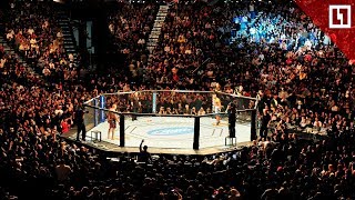 Фанаты дают прогнозы на турнир UFC в Санкт-Петербурге