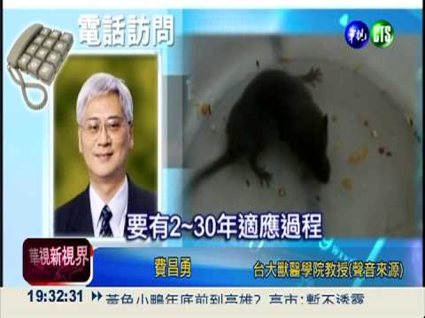 錢鼠若"保毒"! 狂犬疫情恐擴大