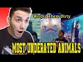 TOP 10 MOST CRIMINALLY MISUNDERSTOOD ANIMALS | CASUAL GEOGRAPHIC | **REACTION**