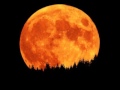 Erykah Badu   Orange Moon