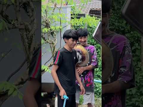 ชะเข้งถัง? ร้องได้ไหม ยากตรงไหนกัน🤣